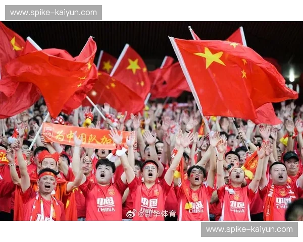 玫瑰与荆棘的共生：当我们在谈论中国足球时，我们在谈论什么？